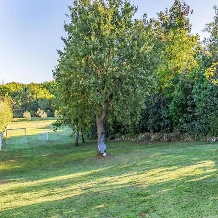 Apartamento In With Sea View Terrace Pula