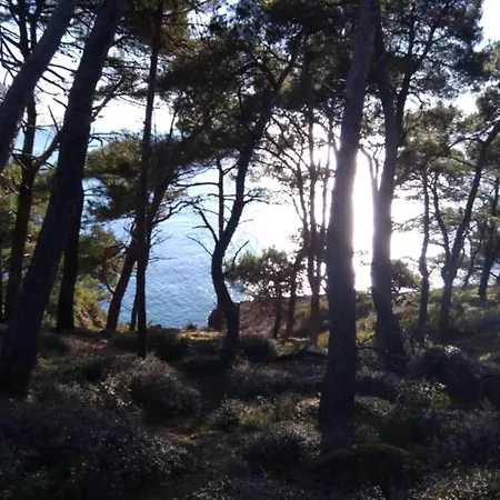 In With Sea View Terrace * 普拉