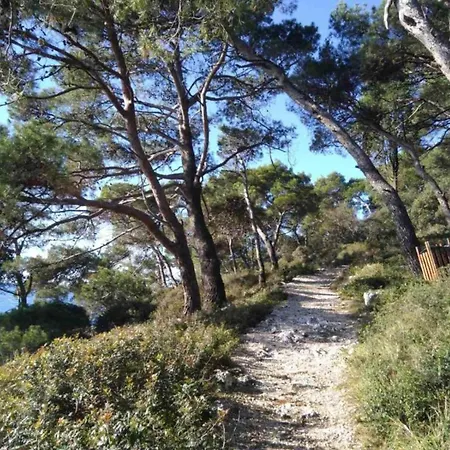 In With Sea View Terrace *