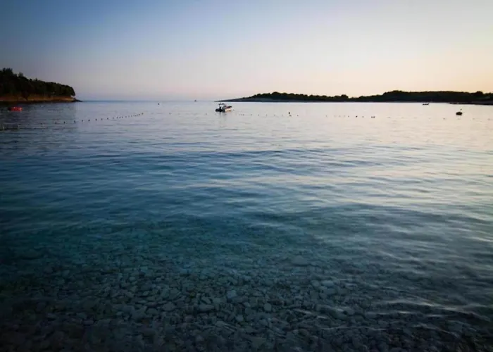 アパート In With Sea View Terrace プーラ