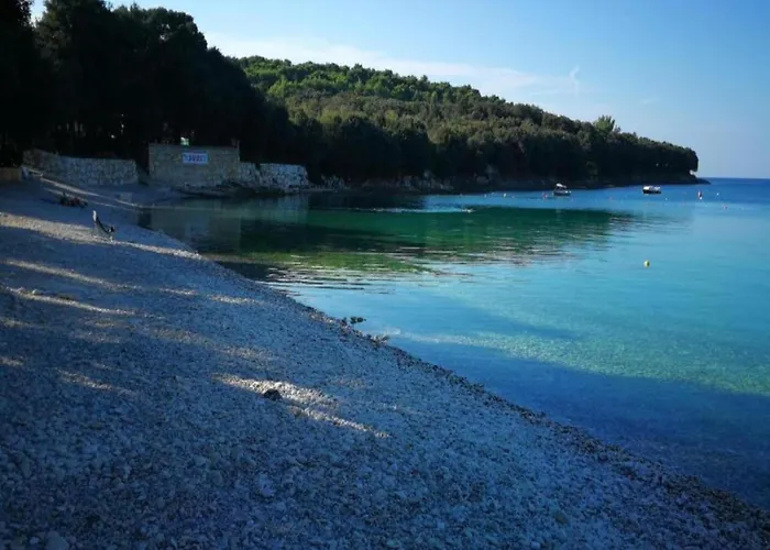 In With Sea View Terrace *